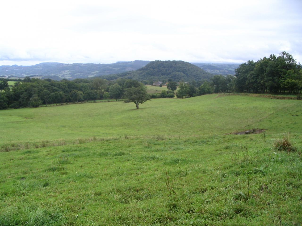 terrain 1