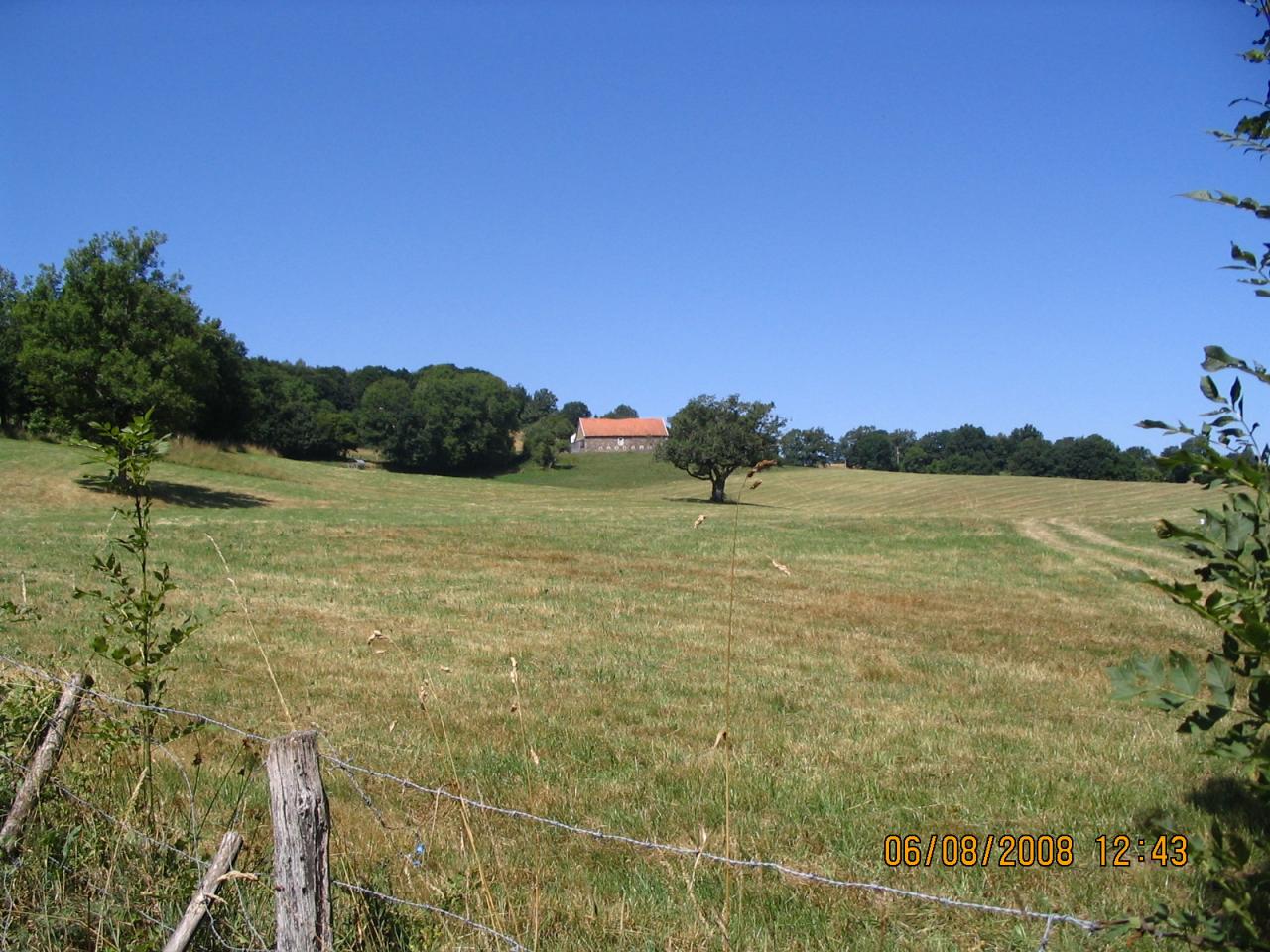 terrain 8