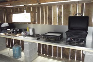 coin bbq 1